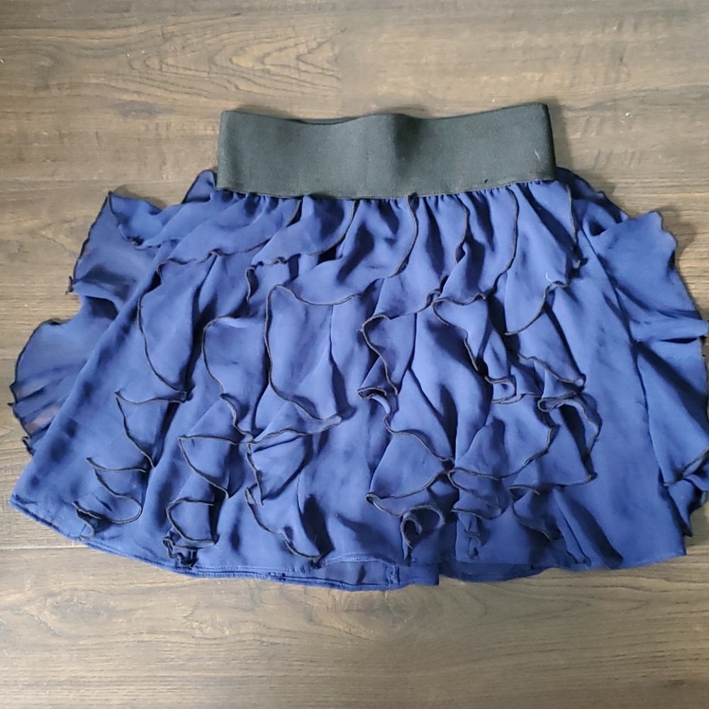NWOT Express skirt
